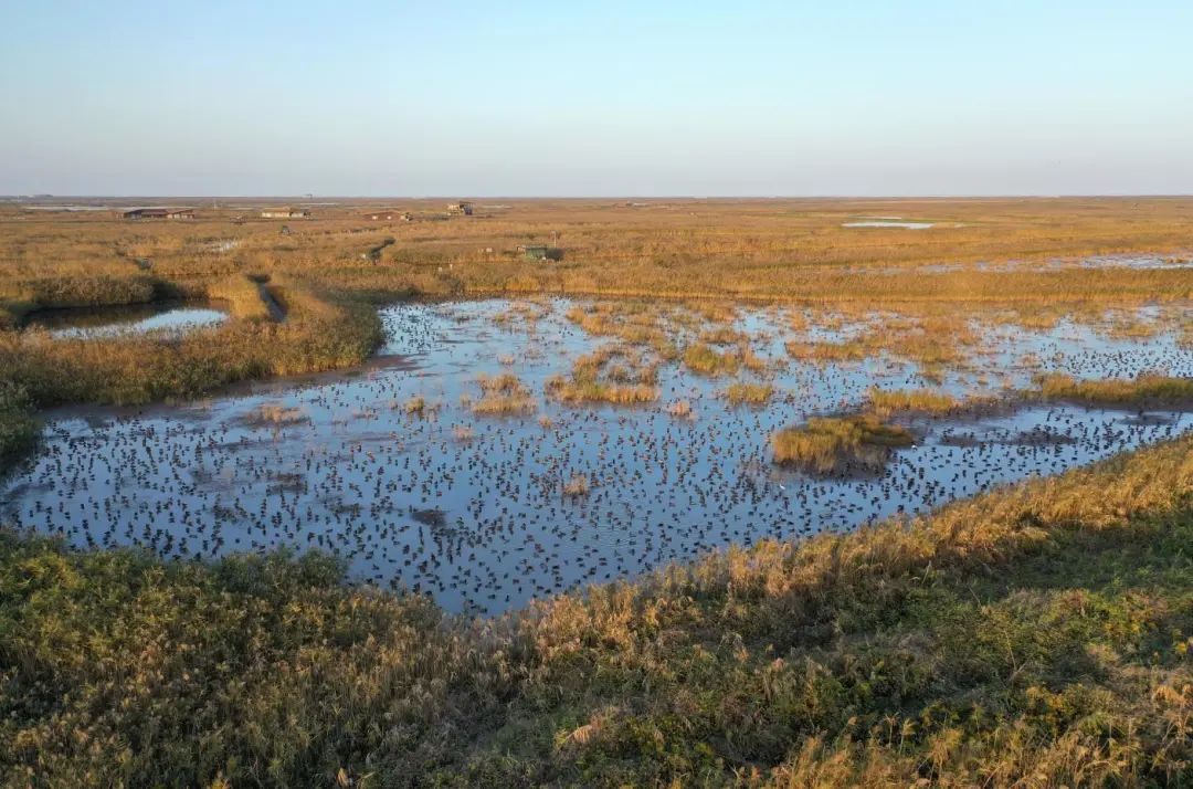 20230630104318037253.jpg 02.jpg