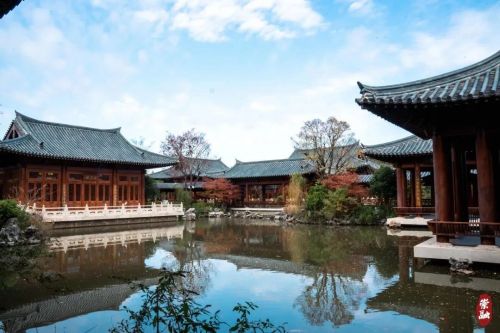 崇明这里入选2023年上海最具潜力影视取景地6.jpg