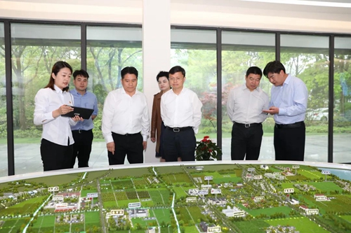 做好林地保护开发，全面推进乡村振兴！缪京带队开展巡林工作2.jpg